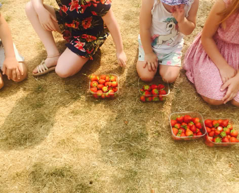 children with strawberries